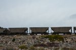 Cement hoppers passing by Hermosillo's Dam